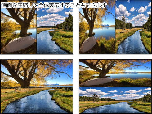 DSP-104 画面2分割器 自由自在な2分割画面表示