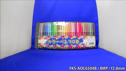 YKS-AOC6504B 4in1マルチフォーマット対応800万画素AOC対応広角・高感度小型カメラ 屋内撮影画像