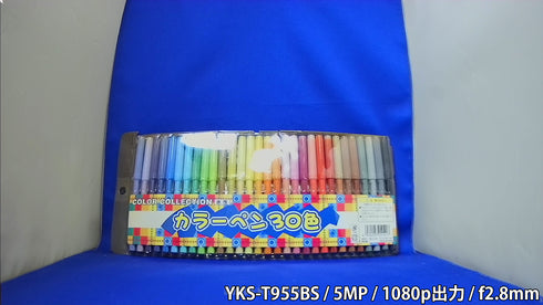 4in1マルチフォーマット対応500万画素赤外線搭載屋外防雨バレット型防犯カメラ YKS-T955BS 屋内撮影画像 1080p出力