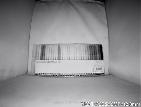 4in1マルチフォーマット対応500万画素赤外線搭載屋外防雨ドーム型防犯カメラ YKS-T955DS 赤外線照射撮影画像