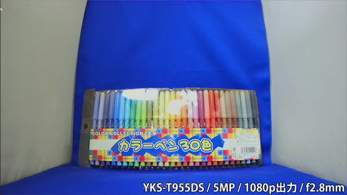 4in1マルチフォーマット対応500万画素赤外線搭載屋外防雨ドーム型防犯カメラ YKS-T955DS 1080p出力 屋内撮影画像